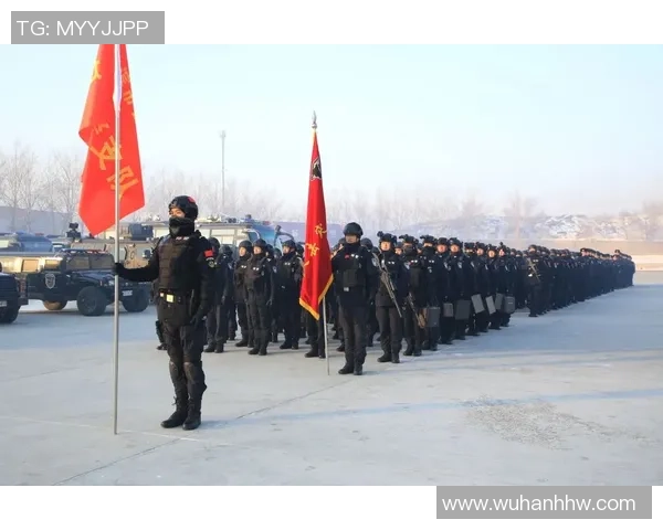 南京飞盘队快攻战术解析与实战应用探讨